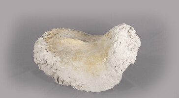 Ретроспектива Рустама Хальфина: Любовные скачки