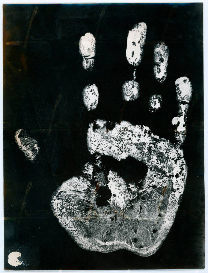 The photogram of the artist's right hand