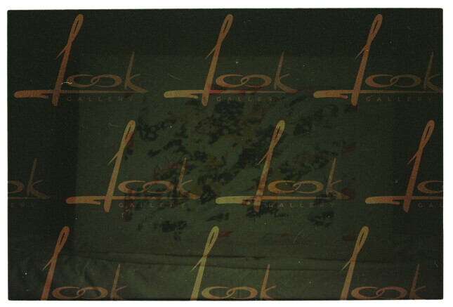 Photographic film from the studio apartment of Rustam Khalfin and Lidiya Blinova